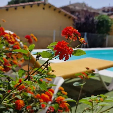 Pool And Relax 20' From Barcelona Premiá de Mar